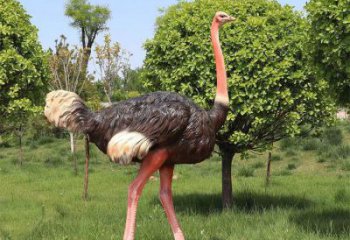 彩繪鴕鳥雕塑廠家，公園廣場動物，大型園林小品