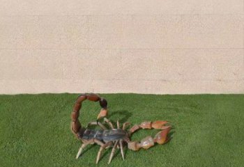 商業(yè)街蝎子雕塑 售樓處動物雕塑 仿真擺件