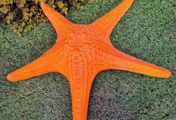 大型海星雕塑廠家，仿古動漫雕塑，仿古擺件雕塑